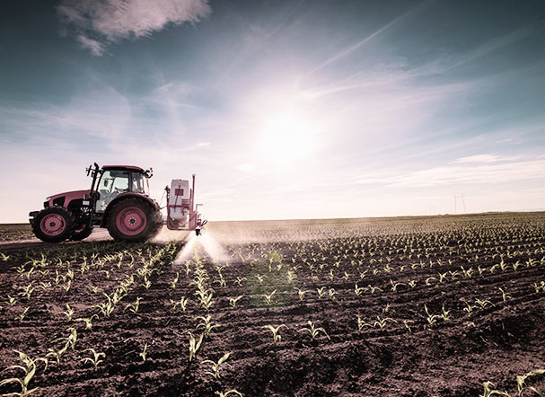 Fiagro: new alternative of private financing for Brazilian agribusiness