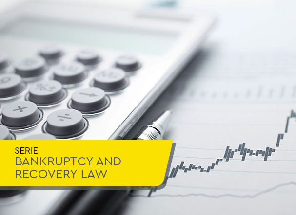 Bankruptcy And Recovery Law: discussions on the definition and collection of the tax debt of a bankrupt company