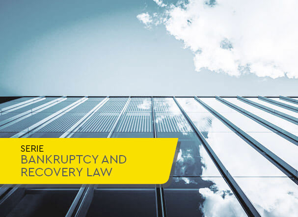 Mediation and conciliation in the Recovery and Bankruptcy Act