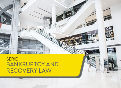 Changes to Law No. 14,112/20 to the Bankruptcy and Reorganization Law