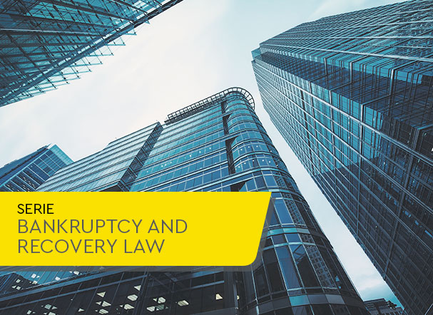 CNJ regulates registration and execution of judicial administrators/trustees duties in insolvency proceedings