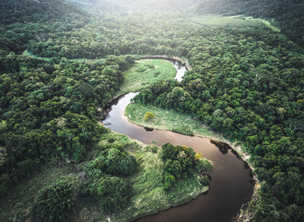 Top image of forest with river running through the middle