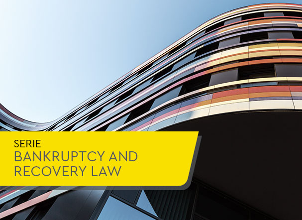 New Bankruptcy and Judicial and Extrajudicial Reorganization Law