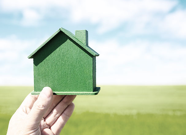 pessoa segurando uma casa de madeira na cor verde. Ao fundo, campo com grama verde e céu azul