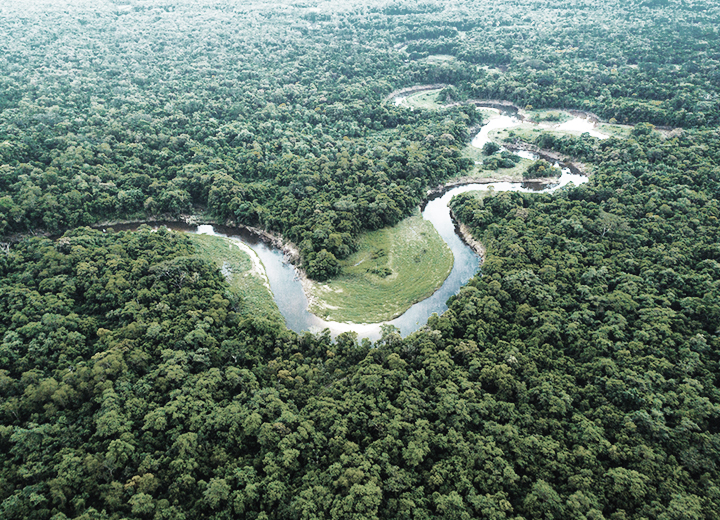 “Programa Floresta +” – O primeiro passo para a concretização do PSA