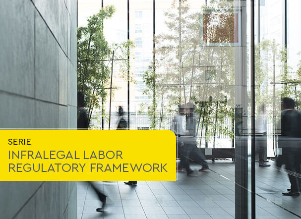 Permanent Program for Consolidation, Simplification and Debureaucratization of Illegal Labor Standards
