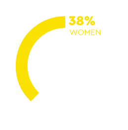 The graph shows the composition of society in 2022 with 22 percent women and 62 percent men